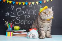 a back to school gift